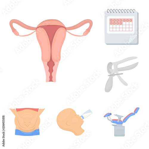 Woman and pregnancy cartoon icons in set collection for design. Gynecology and equipment vector symbol stock web illustration.