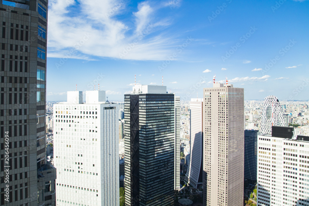 Obraz premium Cityscape of Shinjuku Metropolitan Government Lookout,Tokyo