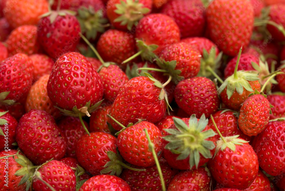 Organic Strawberries Background Organic Strawberries Background