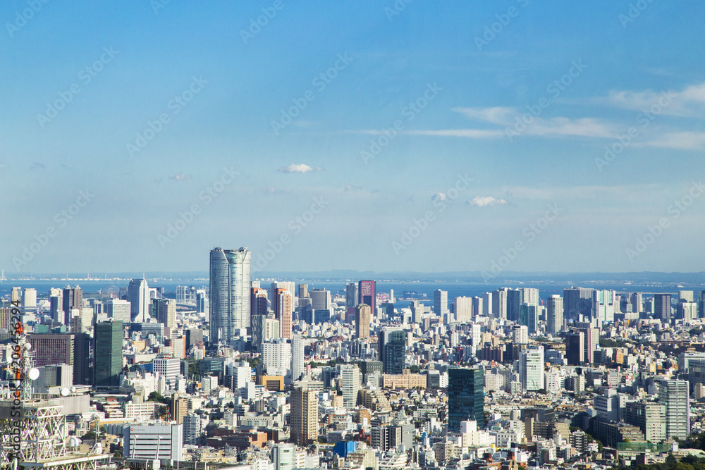 Cityscape of Shinjuku Metropolitan Government Lookout,Tokyo Cityscape of Shinjuku Metropolitan Government Lookout,Tokyo