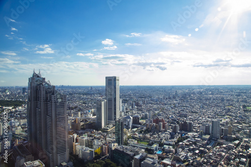 Cityscape of Shinjuku Metropolitan Government Lookout,Tokyo © naoko