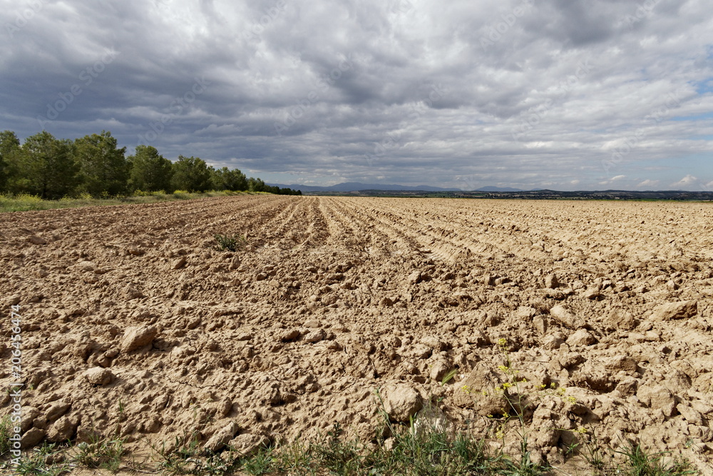 Champs labourés, terre brune, ciel nuageux. Champs labourés, terre brune, ciel nuageux.