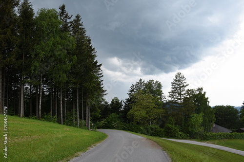 Spadenberg, Sturm, Unwetter, Regen, Gewitter, Plattenberg, Laussa, Wiese, Berg, Straße, Forstweg, Oberösterreich, Traunviertel, Steyr, Steyr Land, Wiese, Feld, grün photo