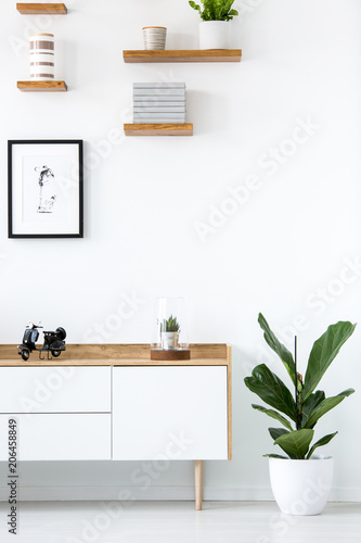 Plant next to wooden cupboard against white wall with poster in simple interior. Real photo