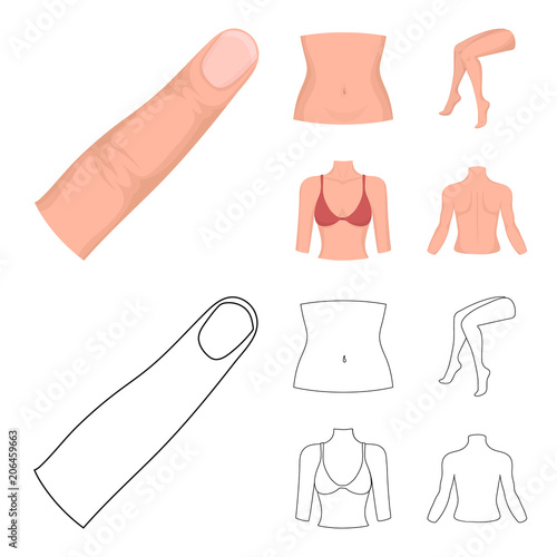 Finger, female feet, female, bust. Part of the body set collection icons in cartoon,outline style vector symbol stock illustration web.