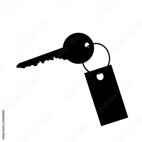 Vector silhouette of keys from the house on white background.