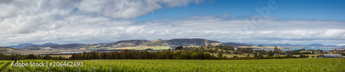 Fotografie Vineyards in front of Barilla bay in Tasmania