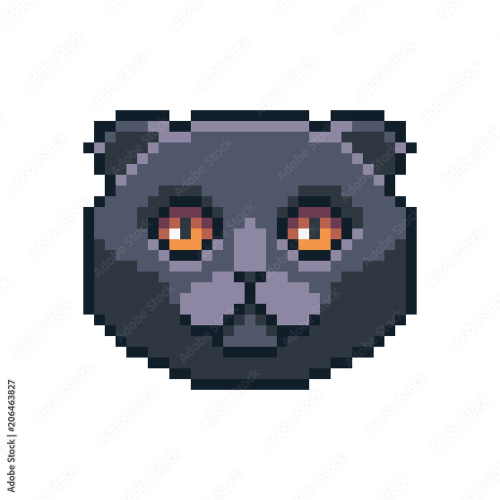 Pixel art vector Scottish fold cat icon isolated on white background. Pixel art vector Scottish fold cat icon isolated on white background.