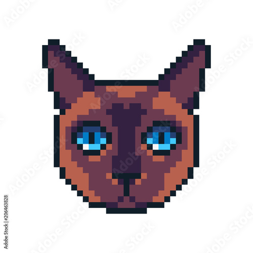 Pixel Siamese Cat Face Isolated Vector Stock Vector (Royalty Free)  1144552613