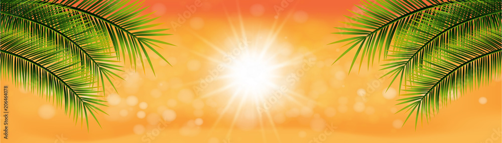 Sommer Hintergrund Sommer Hintergrund
