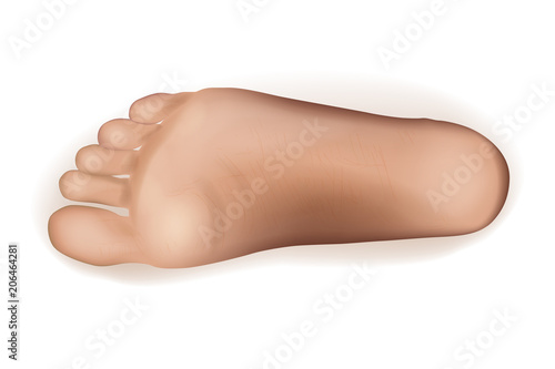 Vector realistic illustration of a foot of feet on a white backgroundctor.