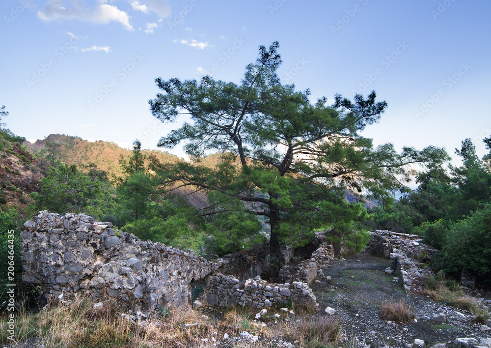 Ruins in Chimera near Cirali (Turkey)