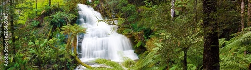 Waterfall in Otways Rainforest © Dana Stockton