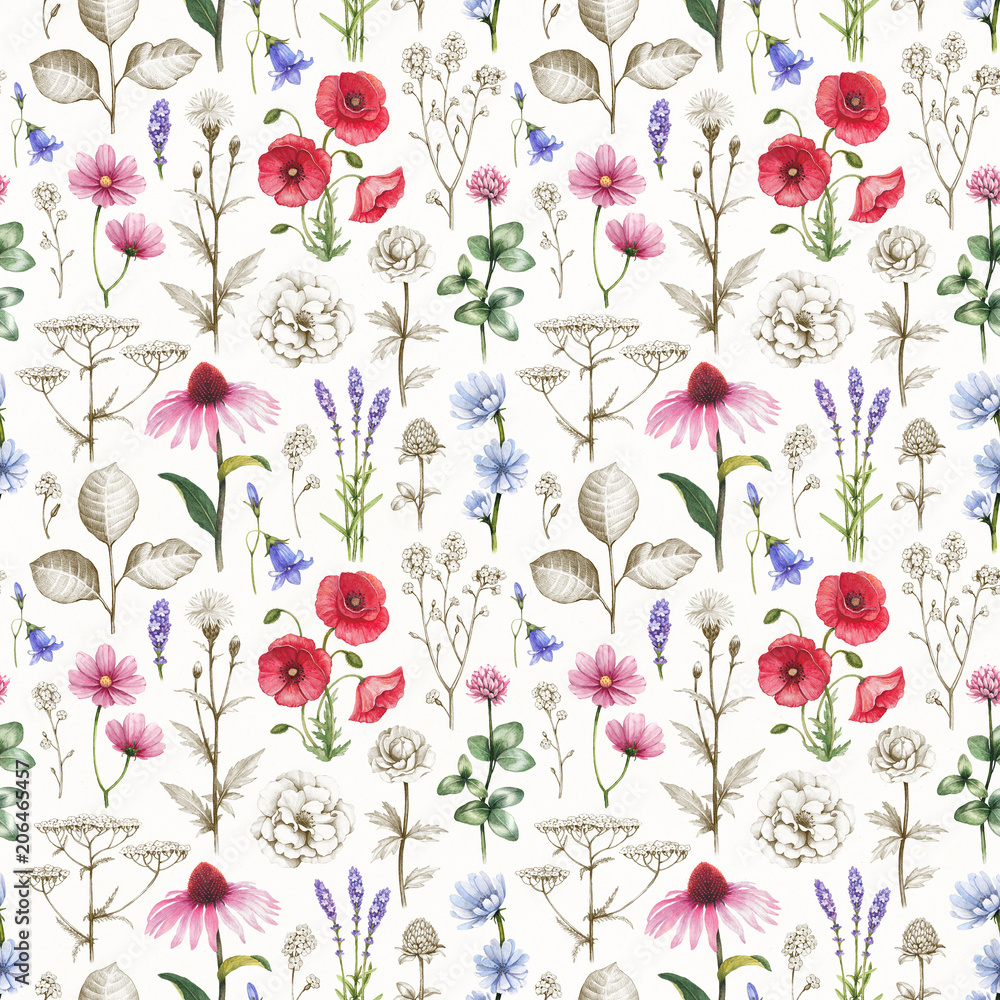 Wild flowers illustrations. Seamless pattern Wild flowers illustrations. Seamless pattern