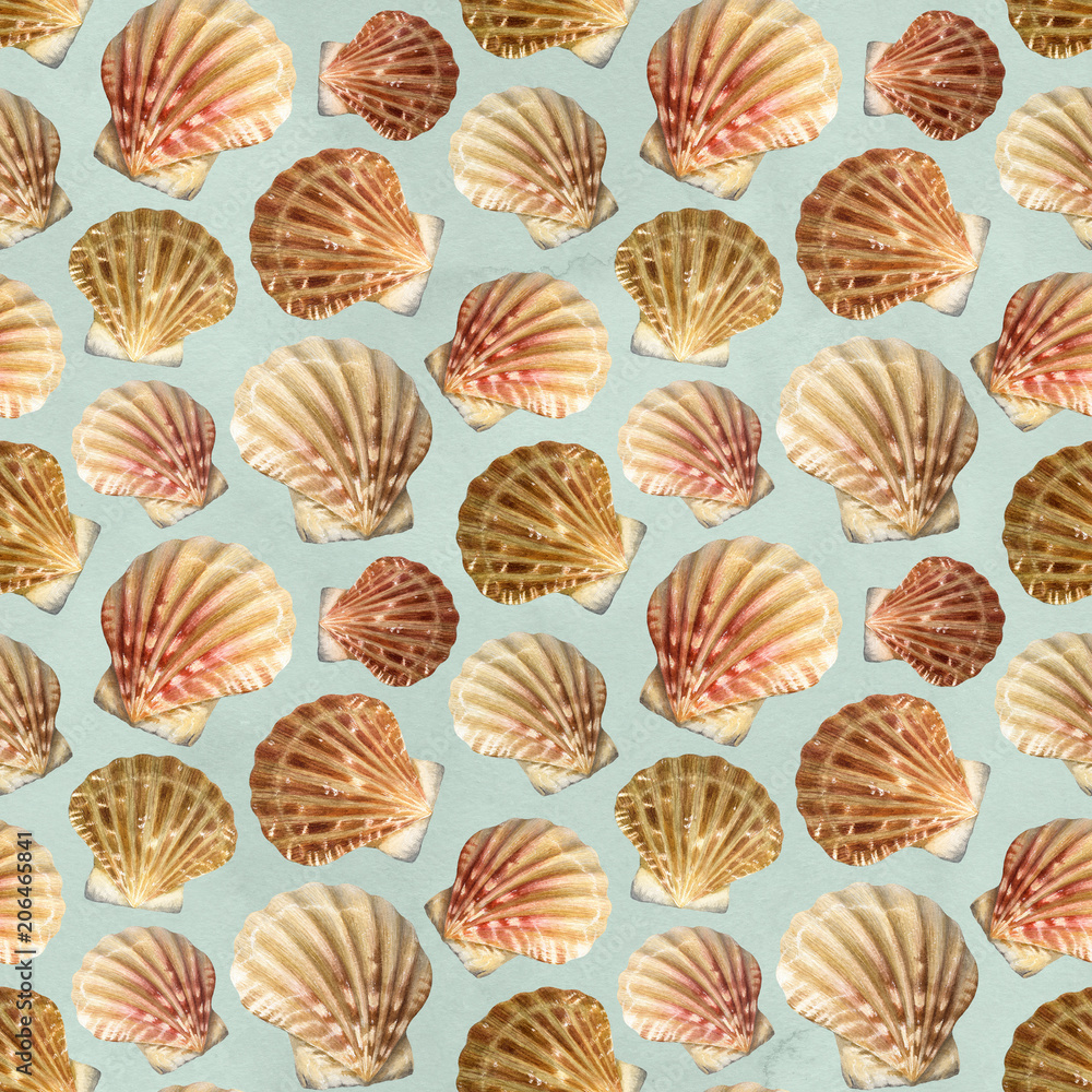 Seamless pattern with watercolor illustrations of shells Seamless pattern with watercolor illustrations of shells