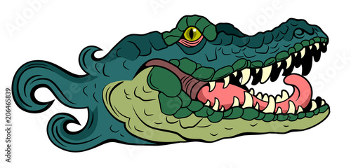 Portrait of the Alligator  crocodile 