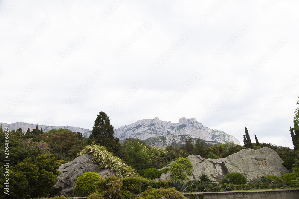 Fototapeta premium Beautiful summer garden