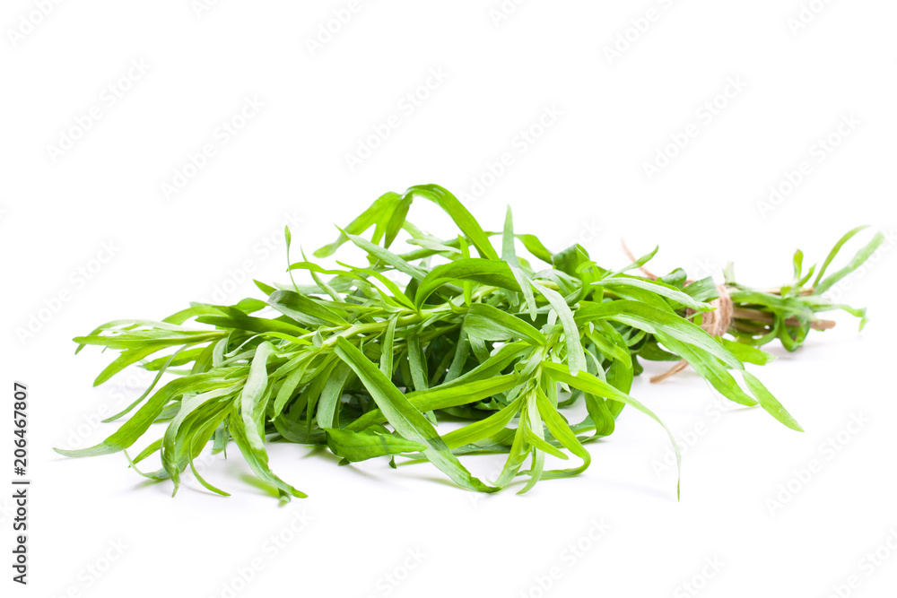 Bunch  of tarragon plant isolated on white