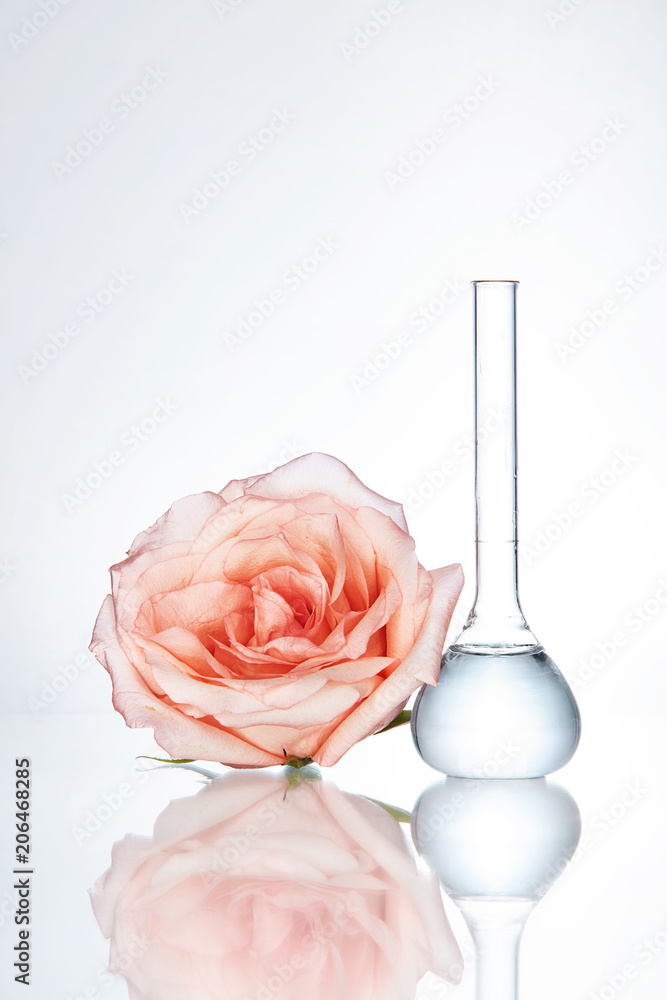 Laboratory Glassware And Flower On White Background Laboratory Glassware And Flower On White Background