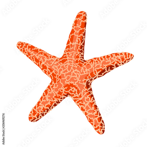 Starfish isolated on white background. Vector illustration.