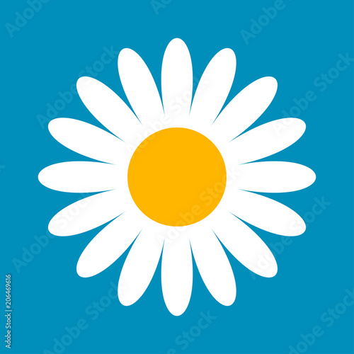 Daisy icon, summer symbol