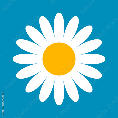 Fototapeta Naklejka Na Ścianę i Meble -  Daisy icon, summer symbol