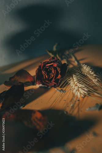 dried red rose flower in a wooden background