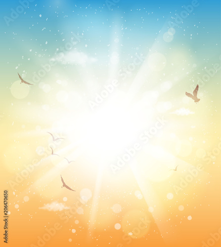summer sunlight