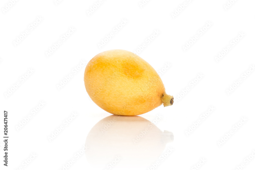 Fototapeta premium One fresh Japanese loquat isolated on white background.