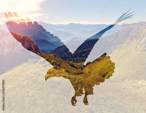 Bald eagle on mountain landscape background. photo