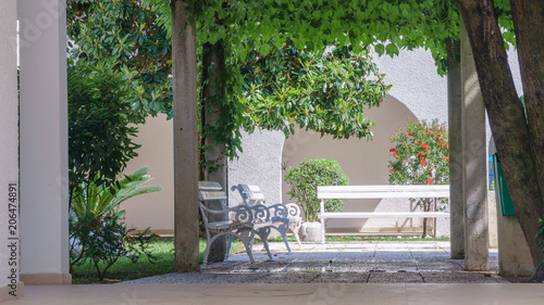 white bench in a summer park