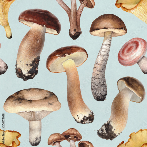Watercolor illustrations of mushrooms. Seamless pattern