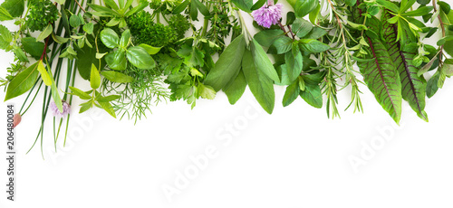 Fotografie, Tablou Fresh garden herbs isolated on white background