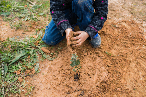 children planting trees in the forest and growing plants cooperating with each other