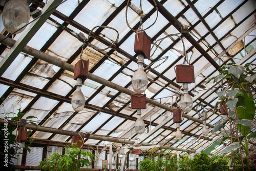 lamps in the greenhouse for lighting colors, flowers vyunki in the greenhouse, light through glass