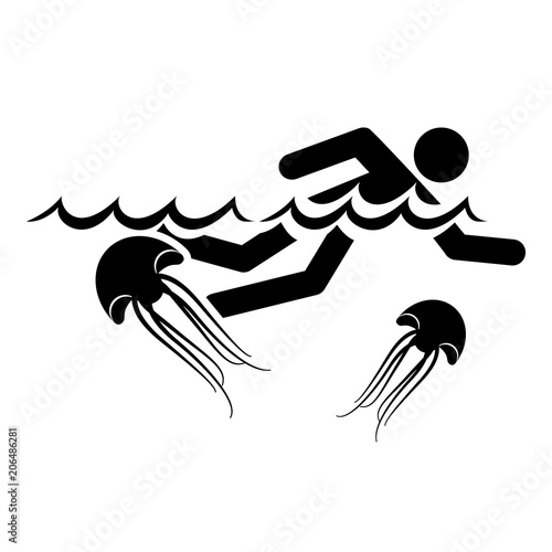 Meeresquallen im Meer