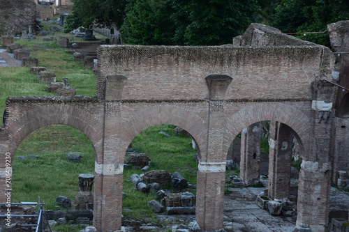 Rome. Panorama and details of the remains of the Forum of Caesar from the Campidoglio.