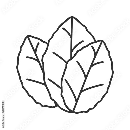 Tobacco leaves linear icon