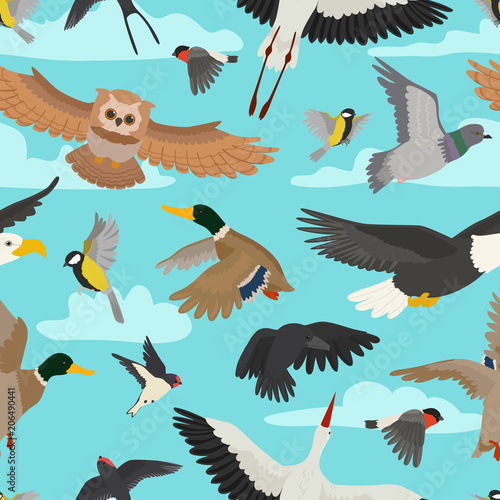 Bird vector cartoon flying birdie owl dove and duck with feather wings illustration set bullfinch stork or swallow for birdfancier seamless pattern background