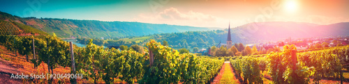 Panoramic landscape with autumn vineyards. Mosel  Germany