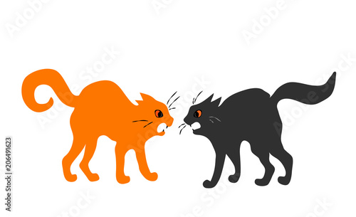 two quarreling cats on white background