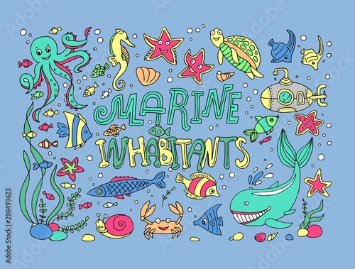 vector illustrations marine inhabitants.