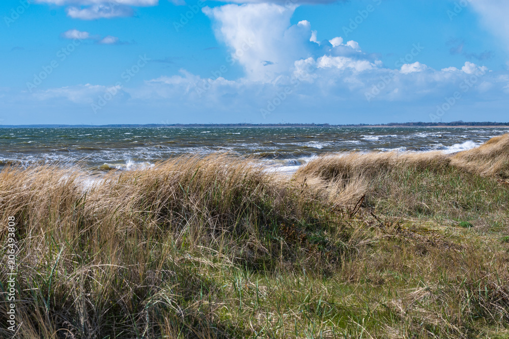 Windy Day At The Beach With Waves And Blue Sky