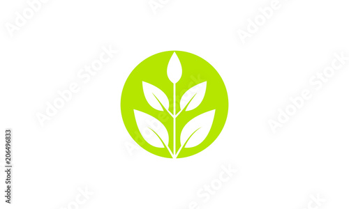 circle leaf green