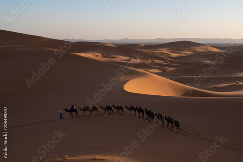 Caravana de camellos