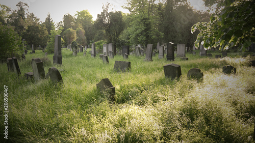 Old cemetery stock images. Old Jewish Cemetery images. Old forest cemetery in Vienna. Overgrown gravestones in a cemetery