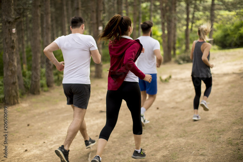 Young people run a marathon through the forest