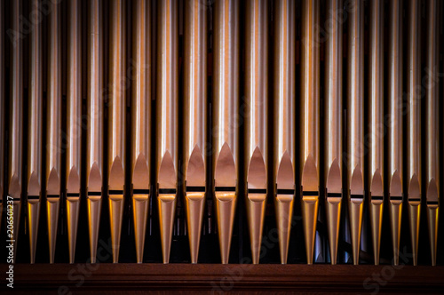 Organ