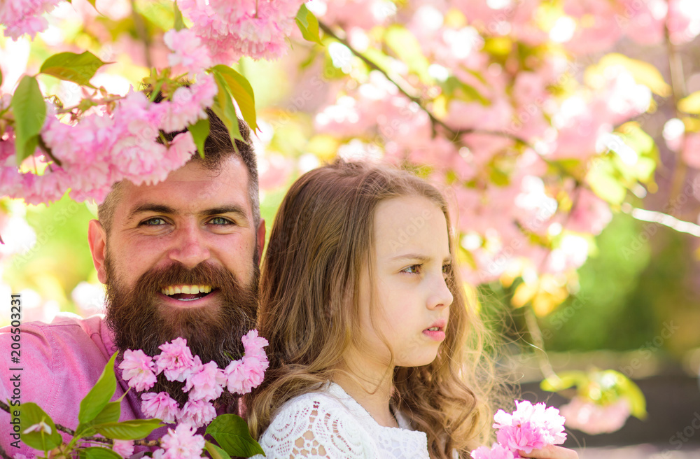 Obraz premium Fatherhood concept. Girl with dad near sakura flowers on spring day. Child and man with tender pink flowers in beard. Father and daughter on happy and calm faces , sakura background.