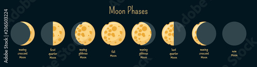 Moon phases infographics.